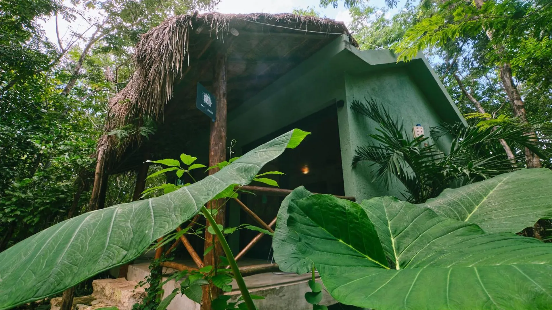 Villas Zamna - Jungle Villas 科苏梅尔