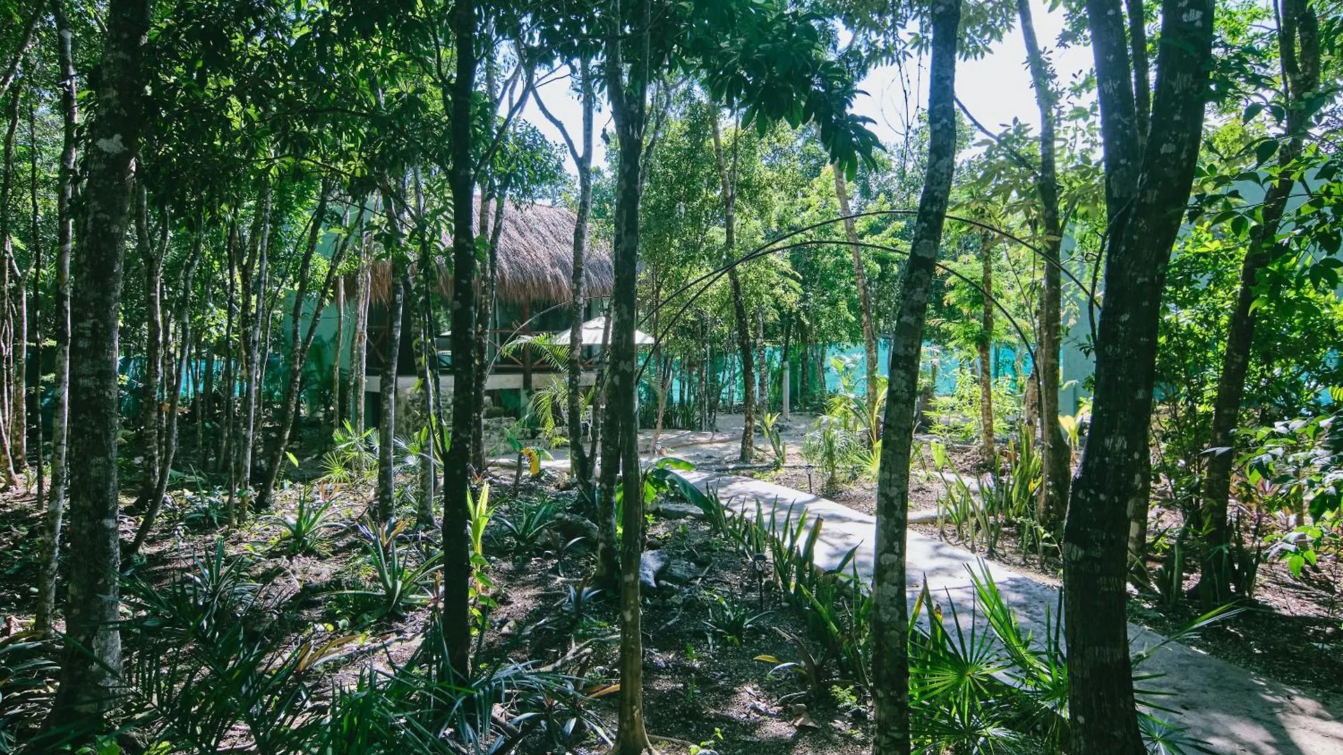 Villas Zamna - Jungle Villas 科苏梅尔 0*,