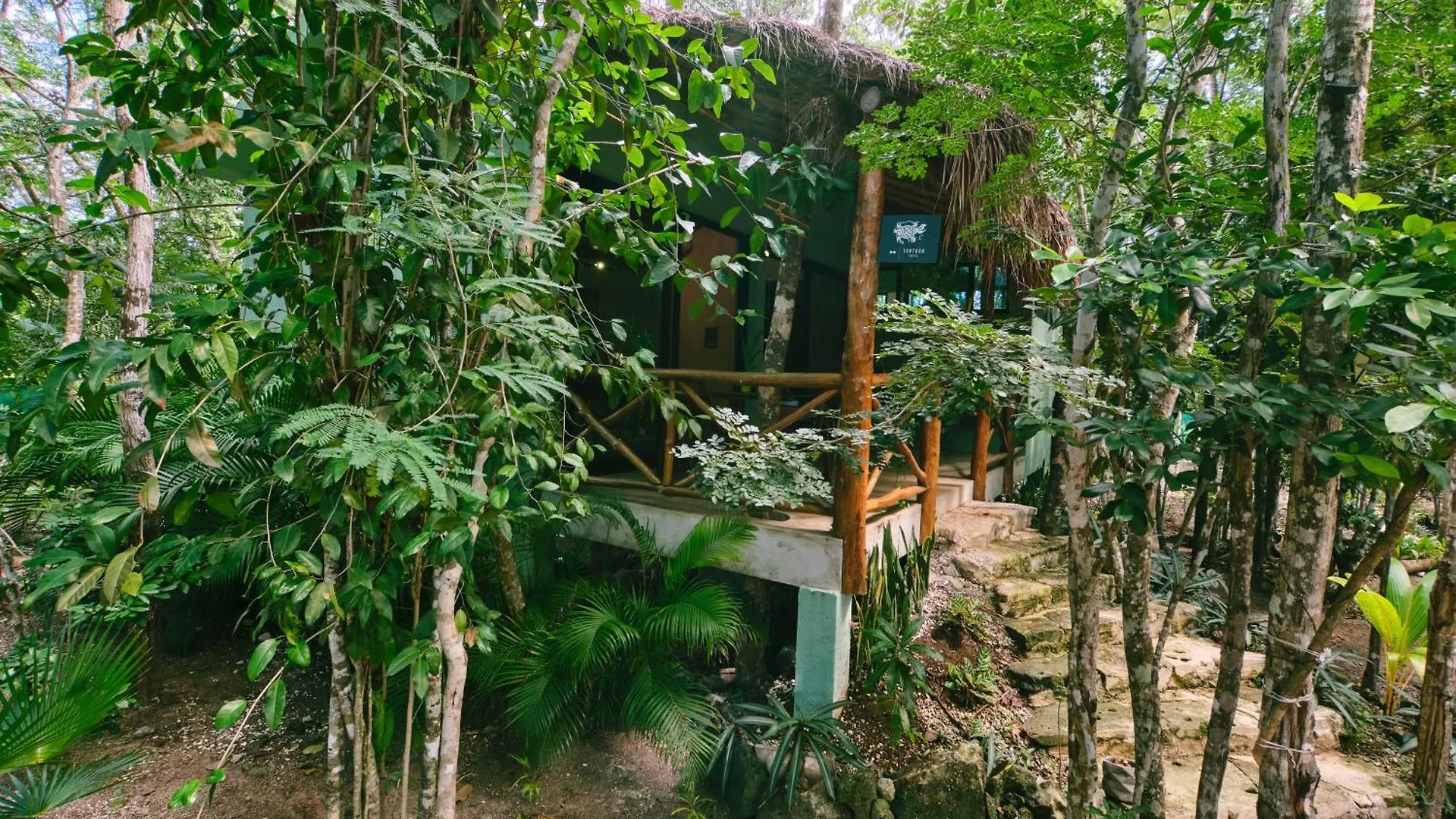 Villas Zamna - Jungle Villas 科苏梅尔