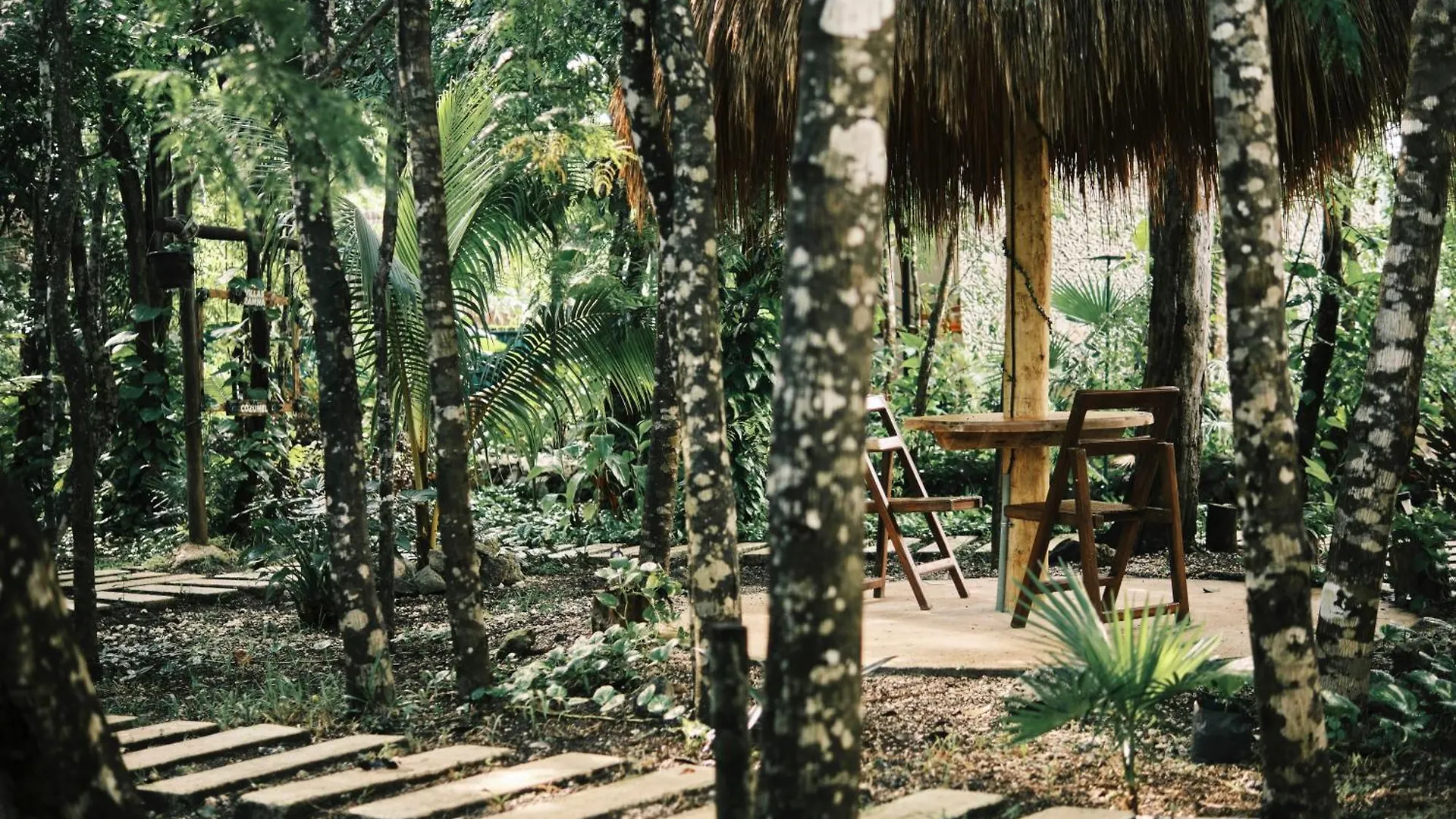 Villas Zamna - Jungle Villas 科苏梅尔 墨西哥