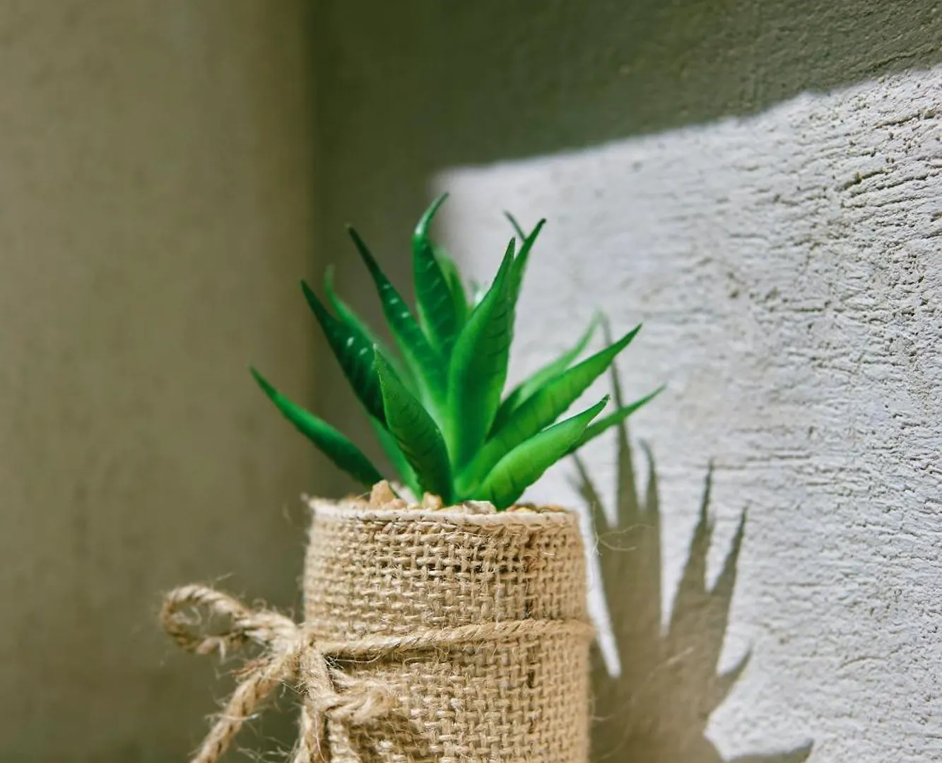 Villas Zamna - Jungle Villas 科苏梅尔 0*,  墨西哥