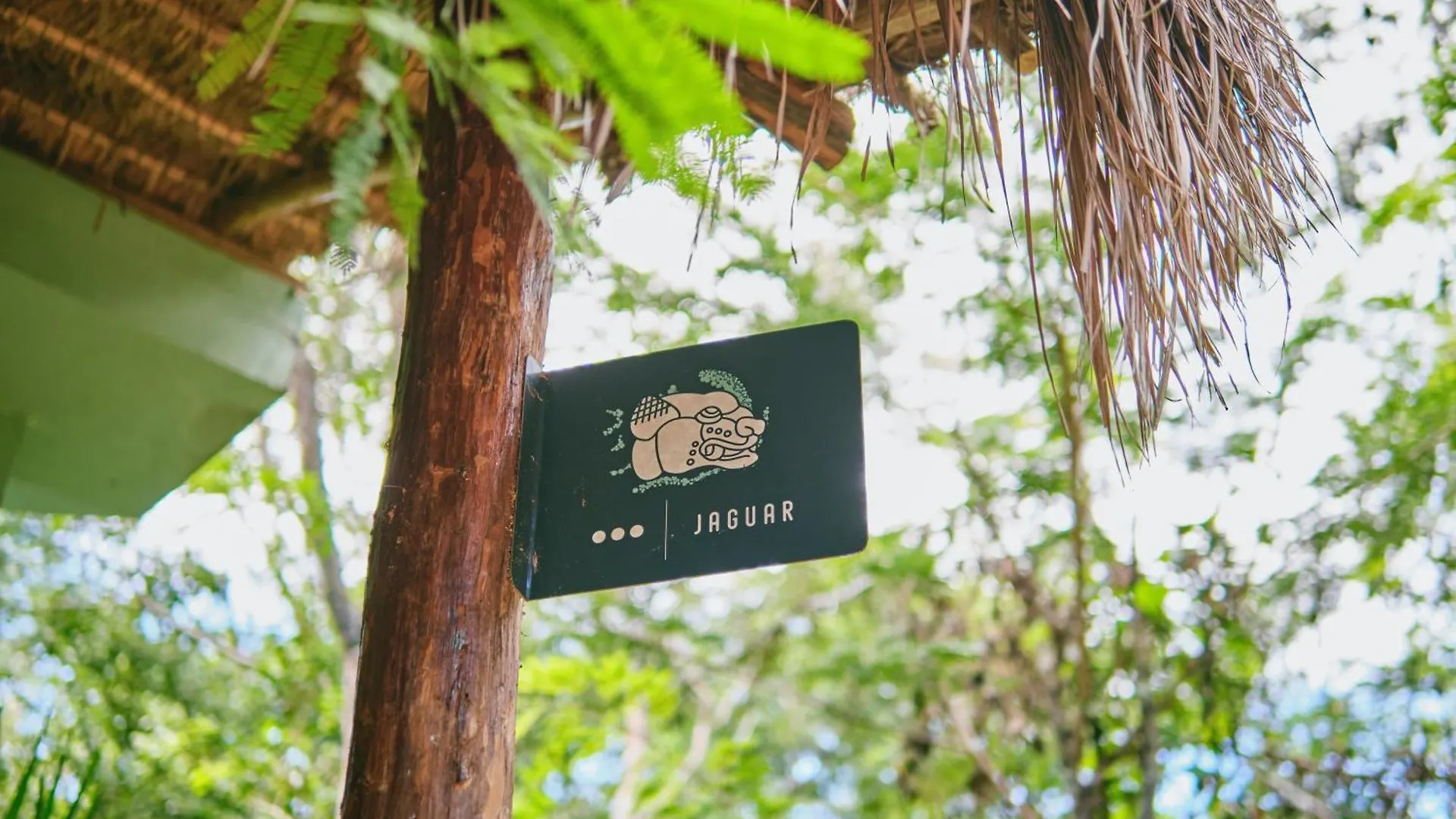 Villas Zamna - Jungle Villas 科苏梅尔